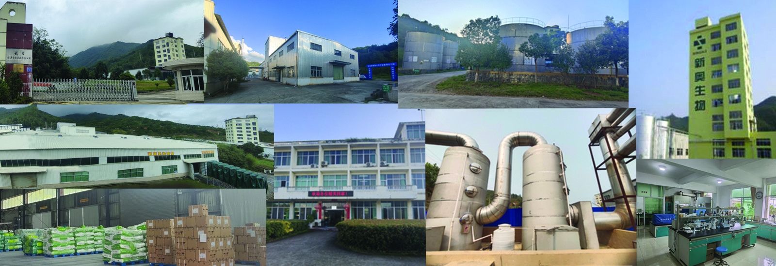 Κοντό Butyrate λιπαρών οξέων αλυσίδων