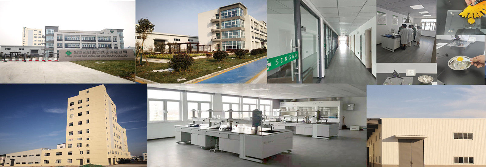 Ντυμένο Butyrate νατρίου