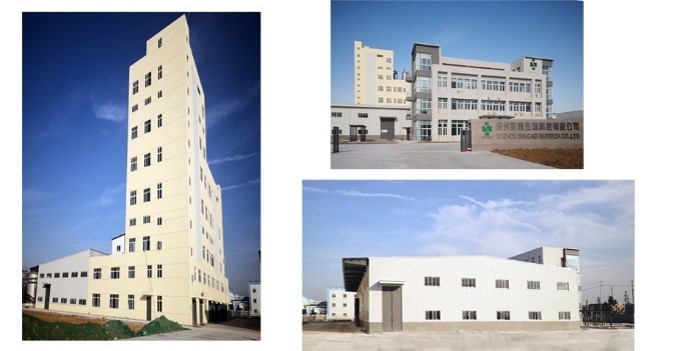 Singao (Xiamen) Agribusiness Development Co., Ltd. γραμμή παραγωγής εργοστασίων