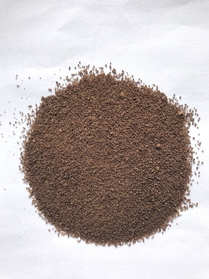 Προβιοτικό Clostridium butyricum