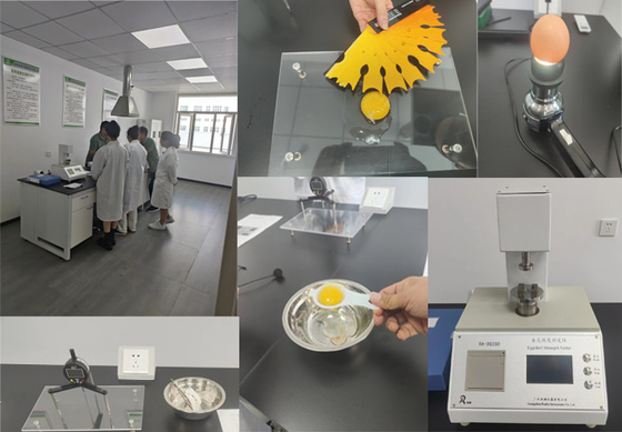 Microencapsulated Butyrate 90% νατρίου κόκκων μορφής σφαιρών για τα κατοικίδια ζώα
